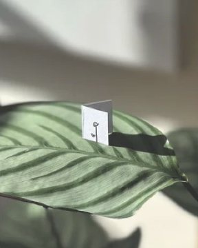 A tiny folded card standing on a leaf